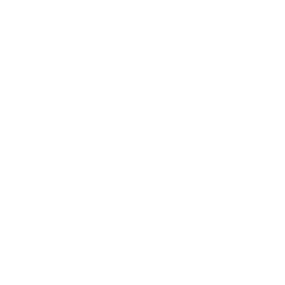Iconica Tours Logo